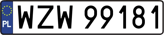 WZW99181