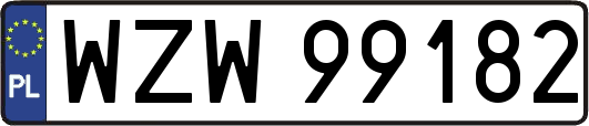 WZW99182