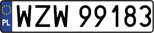 WZW99183