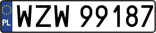 WZW99187
