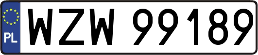 WZW99189