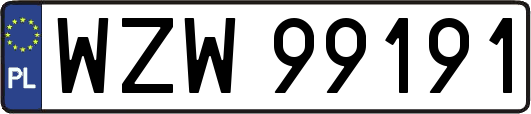 WZW99191