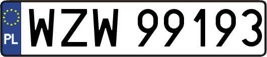 WZW99193