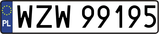 WZW99195