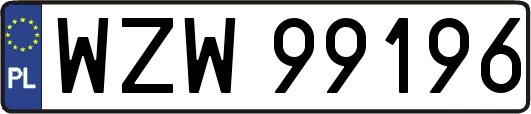 WZW99196
