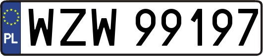 WZW99197