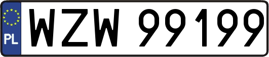 WZW99199