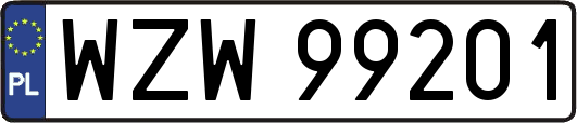 WZW99201