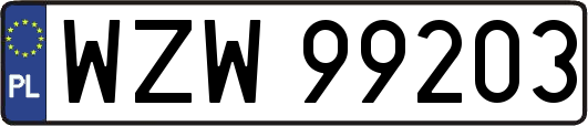 WZW99203