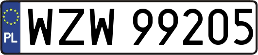 WZW99205