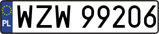 WZW99206