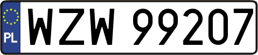 WZW99207