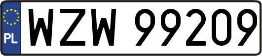 WZW99209
