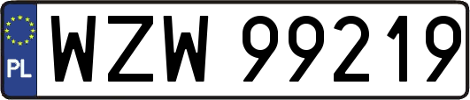 WZW99219