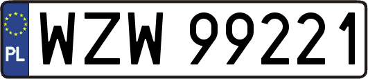 WZW99221