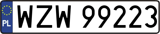 WZW99223
