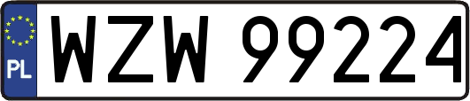 WZW99224