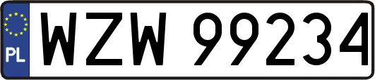WZW99234