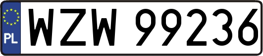 WZW99236