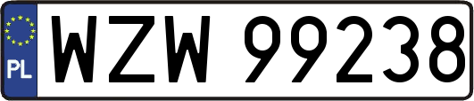 WZW99238