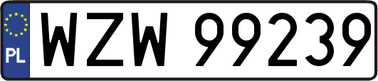WZW99239