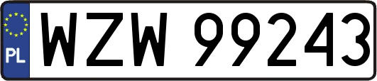 WZW99243