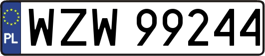 WZW99244