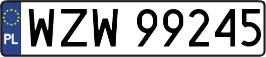 WZW99245