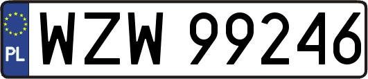 WZW99246