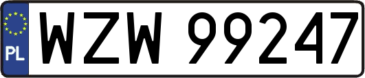 WZW99247