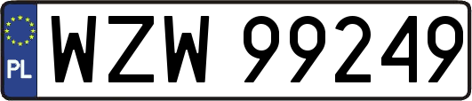 WZW99249