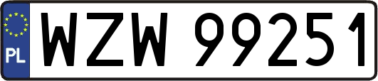 WZW99251