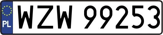 WZW99253