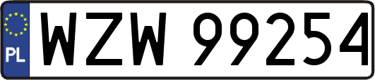 WZW99254