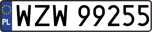WZW99255