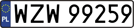 WZW99259