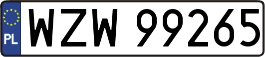 WZW99265