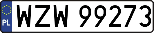 WZW99273