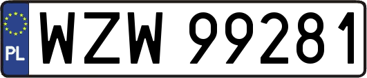 WZW99281