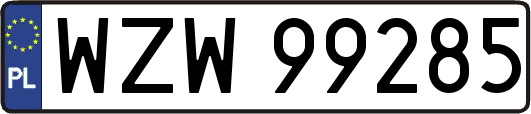 WZW99285