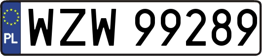 WZW99289