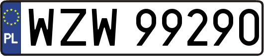 WZW99290