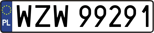 WZW99291