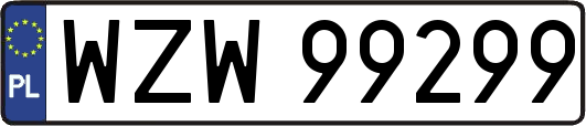WZW99299