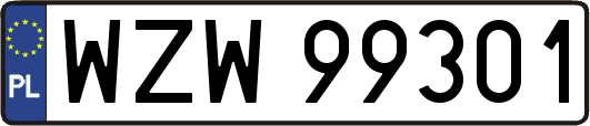 WZW99301