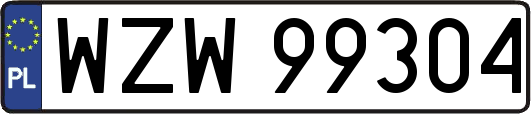 WZW99304