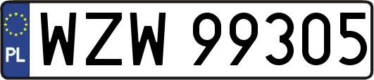 WZW99305