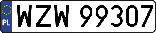 WZW99307