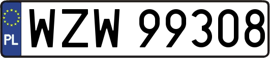 WZW99308
