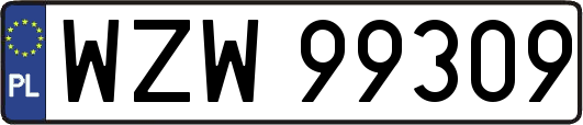 WZW99309